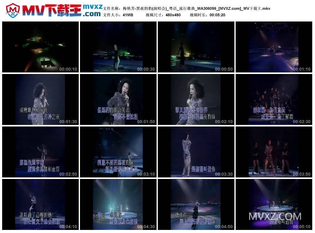 梅艳芳-黑夜的豹(演唱会)_粤语_流行歌曲_MA306099
